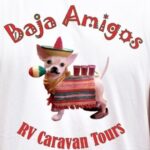 Baja-Amigos-TShirt-Back